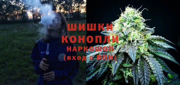трава Алзамай
