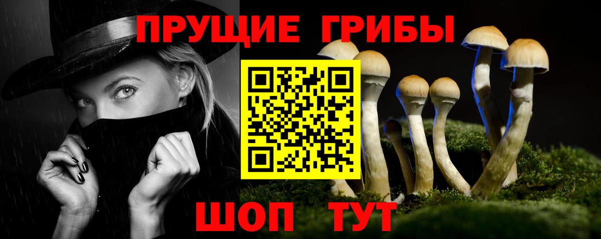 Псилоцибиновые грибы Psilocybine cubensis Тейково